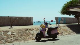 Begin your visa-prepared day with Vietnam’s tranquil ambiance